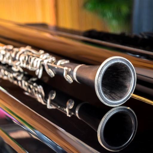 Black clarinet lying closing grand piano