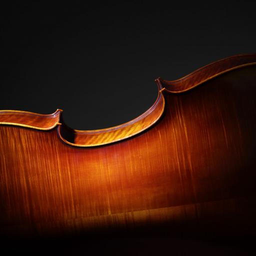 Cello-Ensemble Mini Deep Strings